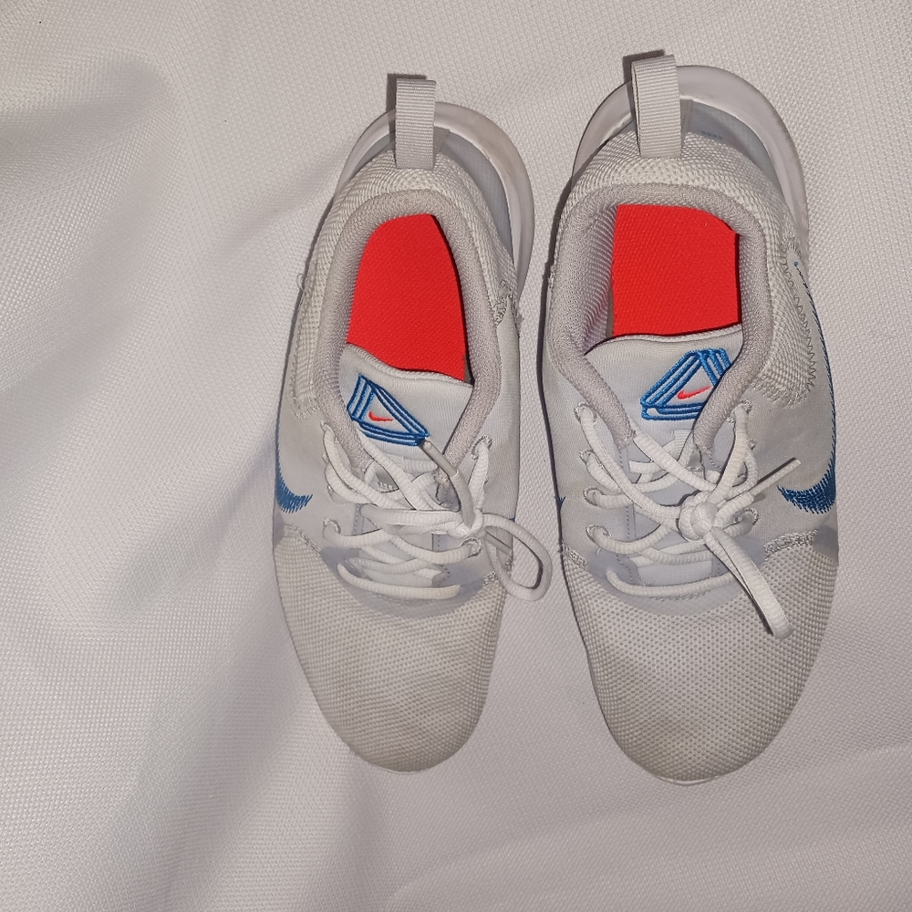 Nike Flex Experience RN 10 Pure Platinum/ lmperial Blue (C19960 010) Men's 8.5